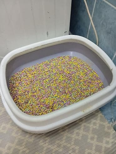 Ветеринар кызматы: Комплект для кошки/кота: - Переноска полужесткая, фиолетовая — 4