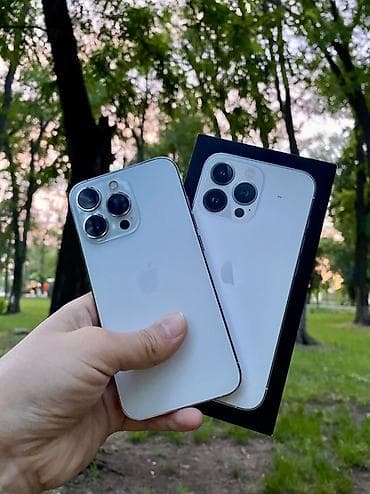 IPhone 13 Pro, 256 ГБ, Серебристый, Коробка, 84 %