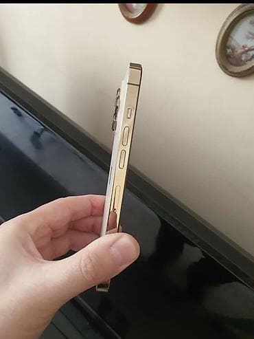 12 мини айфон: IPhone 13 Pro, Золотой — 3