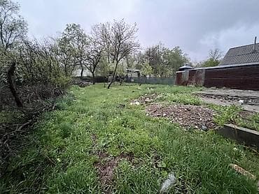 мин булак: 4 соток, Бизнес үчүн, Кызыл китеп — 4