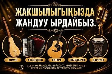 Организация мероприятий | Музыканты