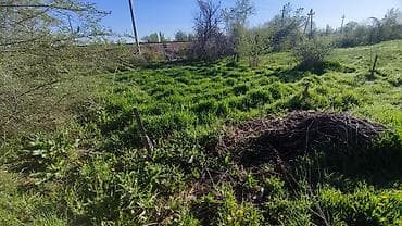 участки продаю: 15 соток, Для сельского хозяйства, Красная книга — 4