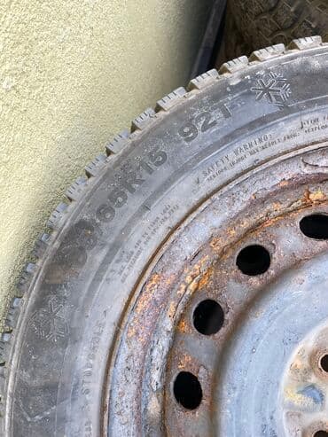 шины на рекс: Шины — 12