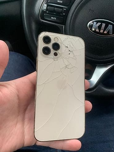 iphone 16 pro max: IPhone 12 Pro, 128 ГБ, Золотой — 7