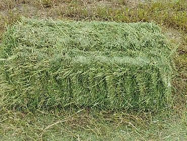 продаю соя: Чөп беде престер сатылат. Бесплатно с доставкой по городу — 8