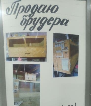 Продаю брудер