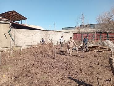 Уборка территории, Уборка двора и сада, Уход за деревьями