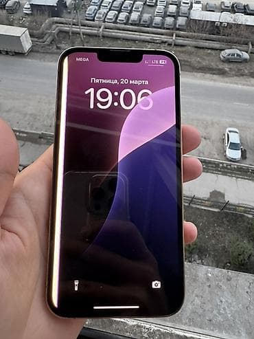 сканья: IPhone 13 Pro, Золотой, 75 % — 4