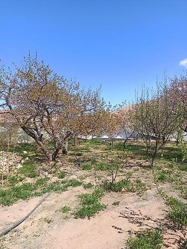 Продажа участков: 10 соток, Красная книга — 1