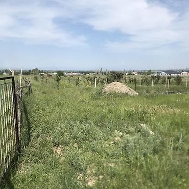 ком помещение: 100 соток, Для сельского хозяйства, Тех паспорт, Договор купли-продажи — 4