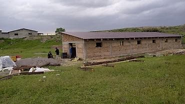 usman stroy: Сокмо дубалдан пакса жана кам кирпичтен уй жана малга — 10