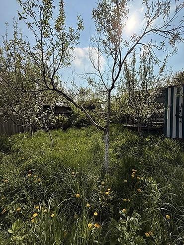 карагечева роща: 🏡 Продаётся дача 🚨Локация: с Таш Мойнок, СО Победа 📍 Летний домик 📍4 — 8