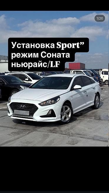 mazda mx: Услуга: активация и установка режима “Sport” для Hyundai Sonata (New — 1