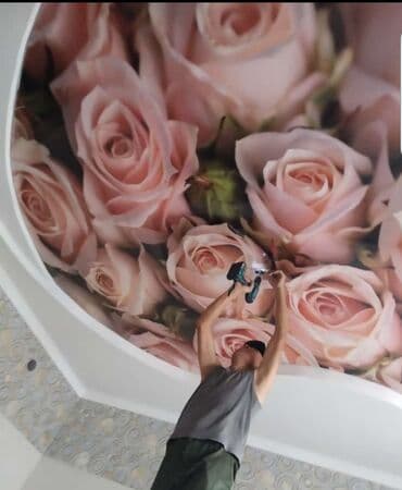 натяжные потолок ош: Натяжной потолок Матовое, 3D потолки, Глянцевое — 23