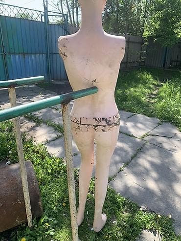 желе: Манекен Взрослый женский, Материал: Пластик, Б/у — 3