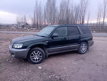chery sweet: Subaru Forester: 2003 г., 2 л, Автомат, Бензин, Кроссовер — 6