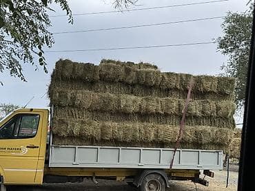 итер: 2 укос беде чоп Аралаш сатылат сойлок курай жок майда чоп 700 штук бар — 1