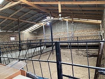 продажа фермерского хозяйства: Ферма КРС, 20 соток, Электричество — 3