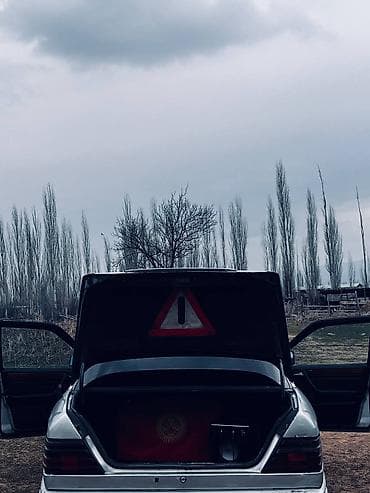 mercedes 210: Mercedes-Benz W124: 1995 г., 3 л, Автомат, Дизель, Седан — 4