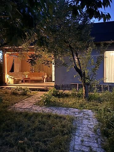 лес дерево: Сдаю уютную жилую круглогодичную охраняемую дачу в Арашане 5 мин — 2