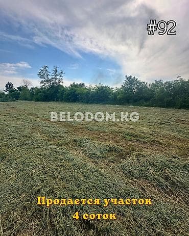 4 соток