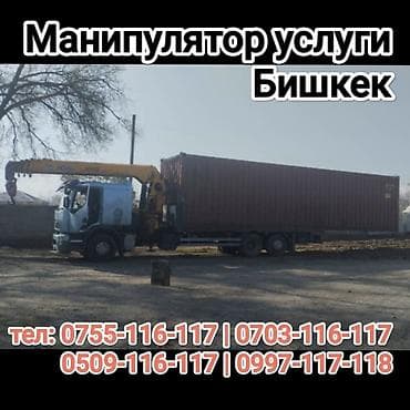 Манипулятор, Hyundai