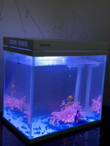 аквариум токмок: Аквариум SUNSUN с крышкой и встроенной системой Объем 12л - — 1