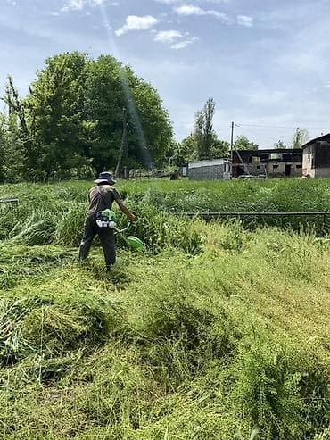хлоп дары: Уборка территории, Стрижка газона — 2