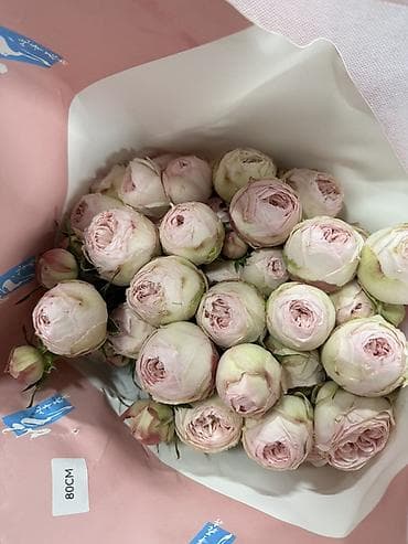 Мы — ваш надежный прямой поставщик свежих срезанных цветов из Китая на