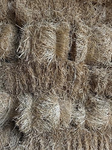 Животные: Солома в тюках - Культура: пшеничная/ - Форма: прямоугольные малые — 3