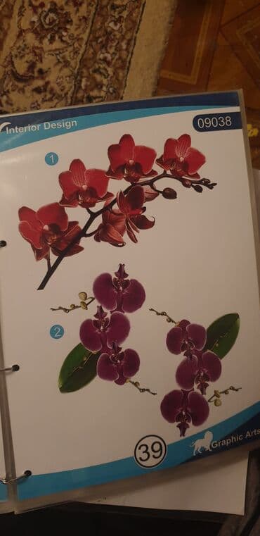 услуги сноса домов в бишкеке: Натяжные потолки КВАДРАТ В ПОДАРОК ЧИСТО С РОССИЙСКИМ МАТЕРИАЛОМ — 30