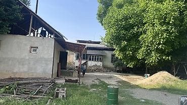 Дом с участком в зеленой зоне Гульбар айылында - 27 соток жери мн 2