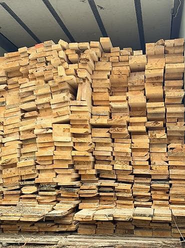 Лес 🌳 из 🇷🇺 🔥🔥🔥