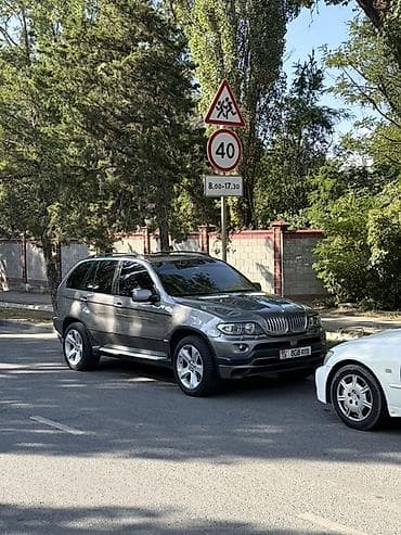 оригинальные: BMW X5: 2004 г., 4.4 л, Автомат, Бензин, Кроссовер — 1