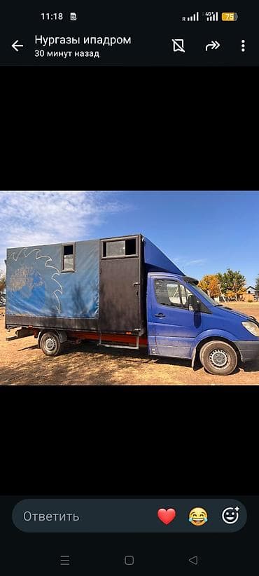 old man: Mercedes-Benz Спринтер: 2006 г., 2.2 л, Механика, Дизель, Фургон — 3