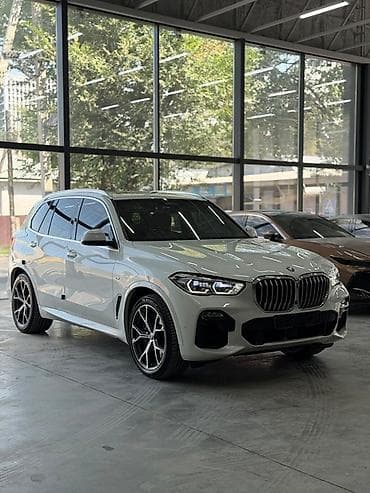 bcw powertech: BMW X5: 2021 г., 3 л, Автомат, Гибрид, Кроссовер — 2