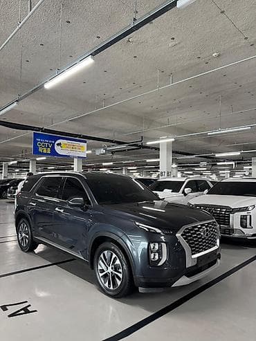 byd e2 2023: Hyundai Palisade: 2020 г., Автомат, Кроссовер — 3