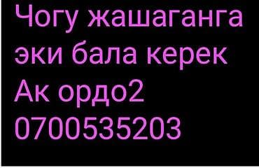 снять квартиру аламедин 1: 1 комната — 1