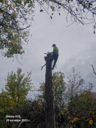 работу разнорабочий: Спил дерево 🌲 опытный пилшик бак кыйабыз отун аралайбыз Терек тополь — 2
