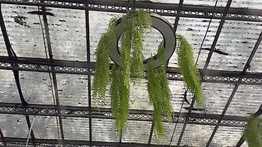 тв тумбы подвесные: Подвесной светильник с круговой LED-рамой и декоративными свисающими — 1