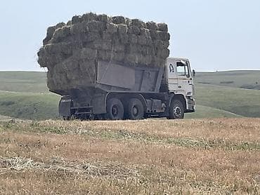 кводроцикл мото: MAN самосвал 6x4 для сельхоз- и стройработ - Полноразмерный трехосный — 2