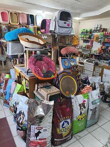 Зоотовары: Зоотовары для собак и кошек — большой выбор в одном месте Оформляем — 1