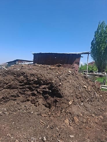 мицелий грибов: В тоннах, Бесплатная доставка, Портер — 2