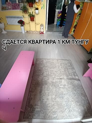 сдаётся в аренду тунгуч: 2 комнаты, Собственник, Без подселения, С мебелью полностью — 1