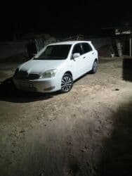 диск на ист: Toyota Allex: 2003 г., 1.5 л, Автомат, Бензин, Хэтчбэк — 10