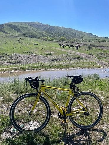 Шоссейный велосипед, Рама M (156 - 178 см), Б/у