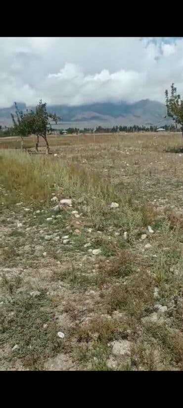 дом отдыха иссык куль: 8 соток, Для строительства, Договор купли-продажи, Красная книга — 8