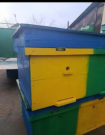 пчелка пила: Ящик — 4