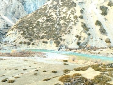 электронные пригласительные на свадьбу на кыргызском языке: Услуги переводчика — 3