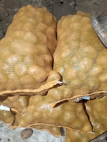 три лимона: Картошка — 1